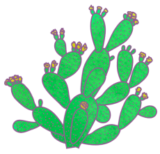 Cactus